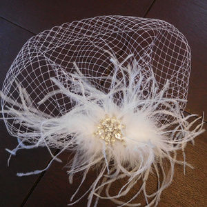Birdcage Veil Vintage Broach & Ostrich Feather